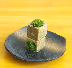 苔キューブ黒備前2201610c