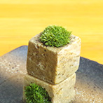 苔キューブ黒備前2201610e