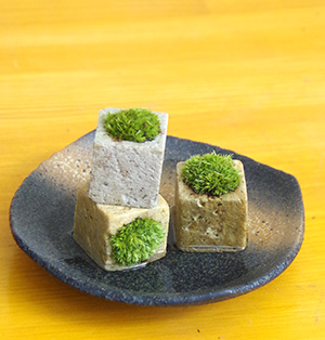 苔キューブ黒備前3201610c