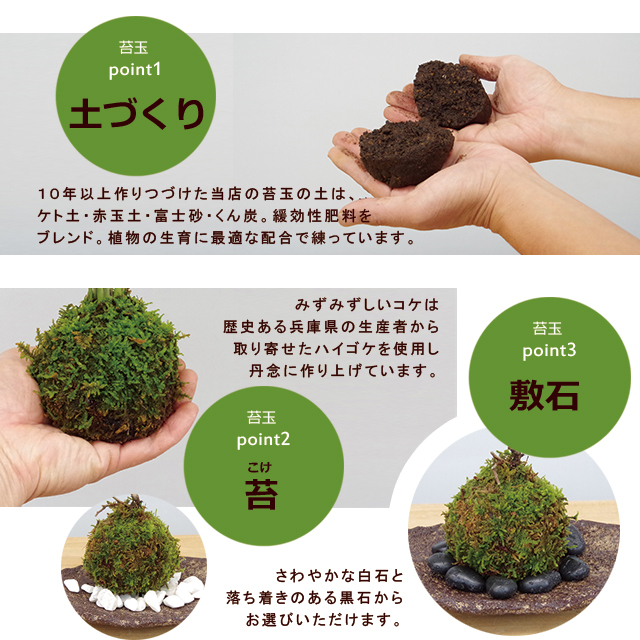 送料無料（本州・四国のみ）枯山水×苔玉 枯山水キット 玉砂利中サイズ