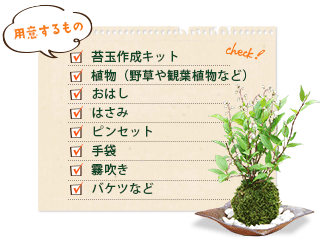 苔玉材料