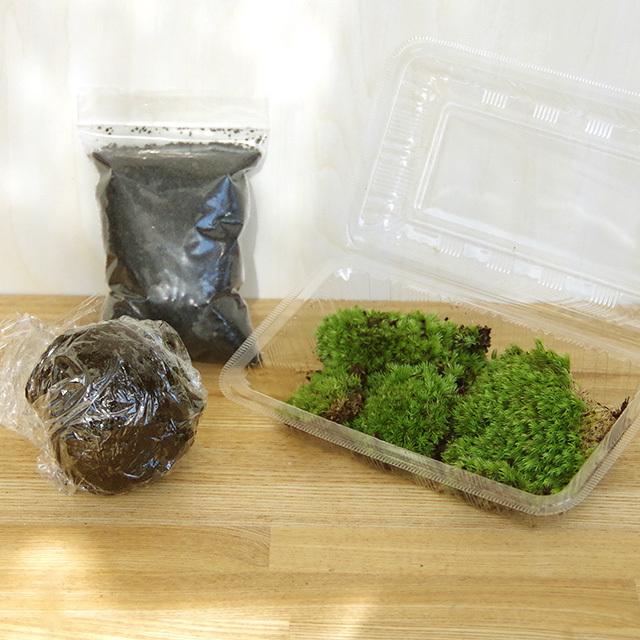 苔盆栽作成キット2016富士砂