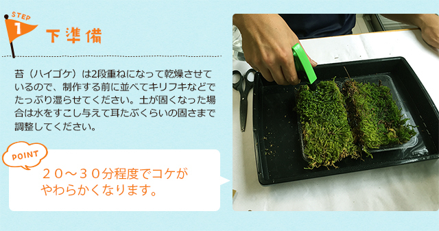 苔玉のつくりかた