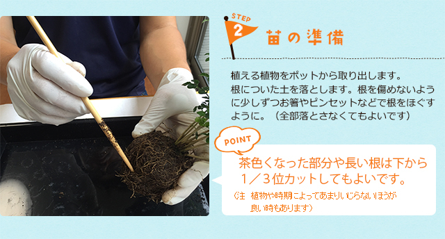 苔玉のつくりかた