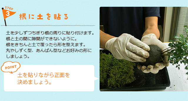 苔玉のつくりかた