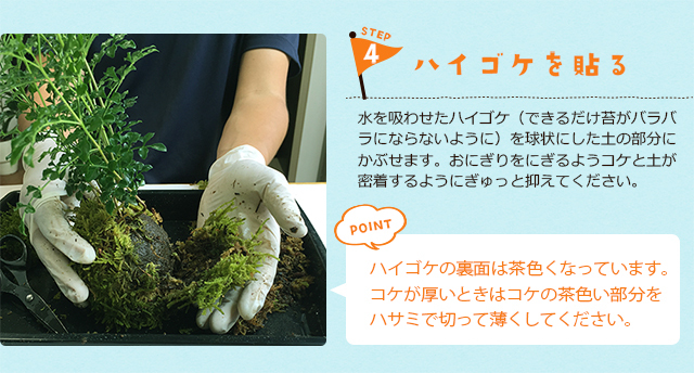 苔玉のつくりかた