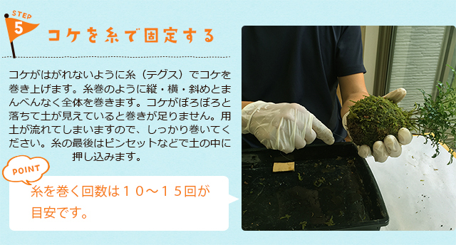 苔玉のつくりかた
