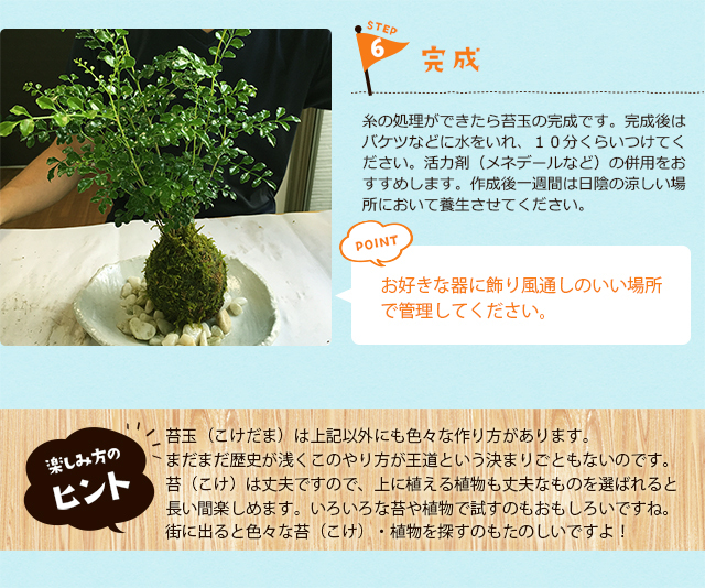 苔玉のつくりかた