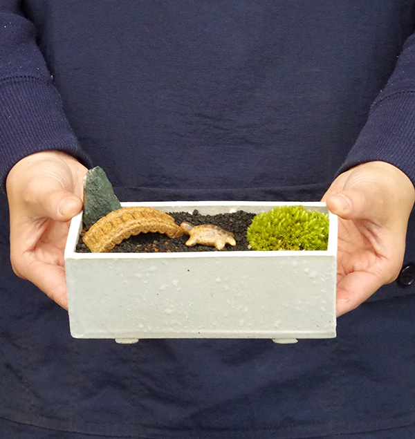苔庭