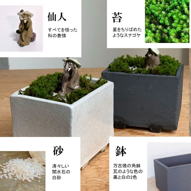 【是心】　苔鉢　植木鉢　盆栽鉢　カケ有り　Bonsai 岡谷是心【是心】底面にも彫りあり 苔鉢 植木鉢 盆栽鉢 Bonsai