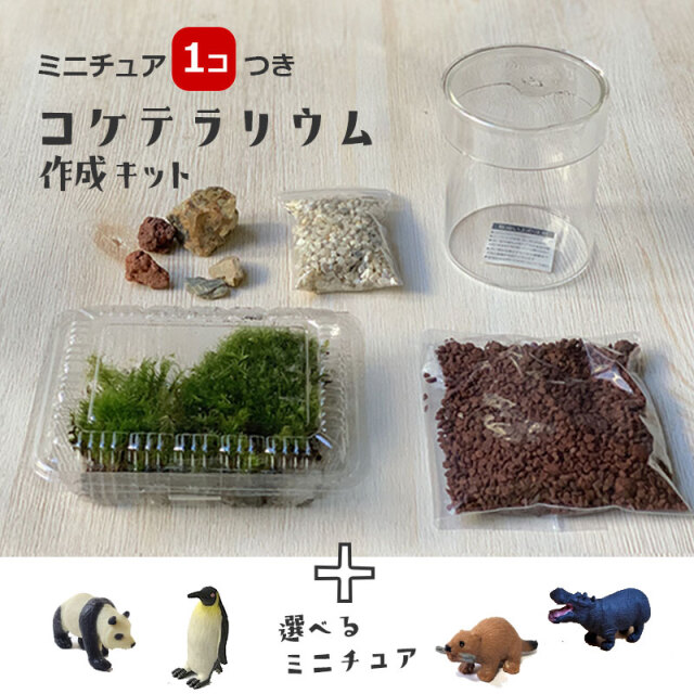 コケテラリウム 作成キット ミニチュア１個付き フタ付ガラスポット 苔テラリウム 苔てらりうむ キット 手作り moss 苔テラ ハンドメイド