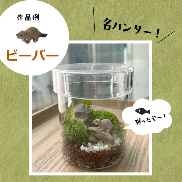 コケテラリウム 作成キット ガラス蓋つきポット】苔テラリウム 苔てら