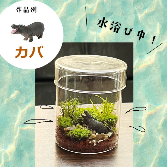 コケテラリウム 作成キット ガラス蓋つきポット】苔テラリウム 苔てら