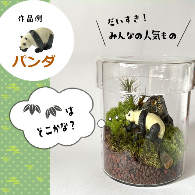 コケテラリウム 作成キット ガラス蓋つきポット】苔テラリウム 苔てら