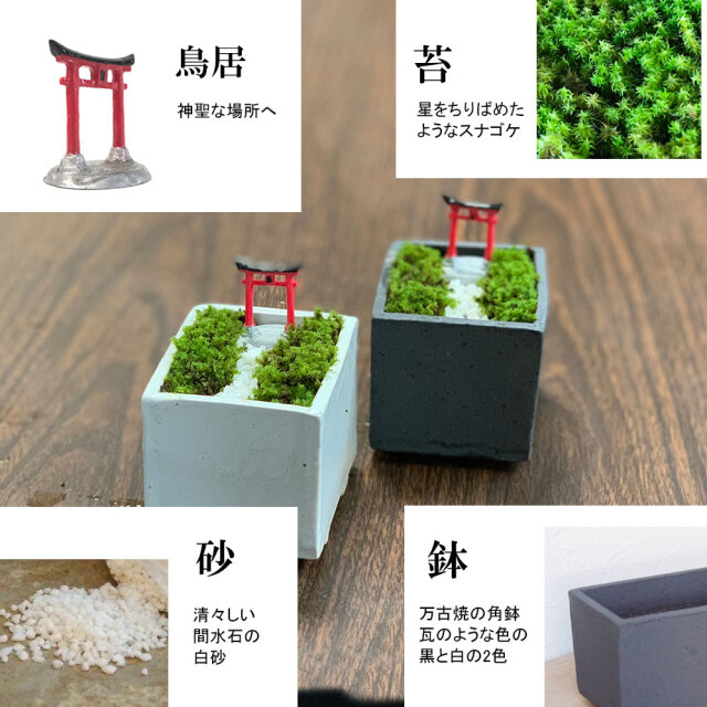 苔盆栽 鳥居