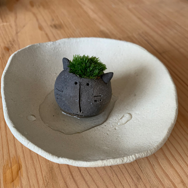 mossmoss コネコ