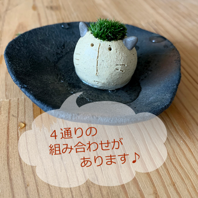 mossmoss コネコ