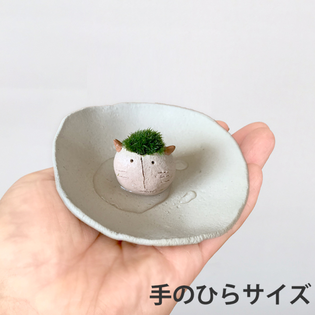 mossmoss コネコ