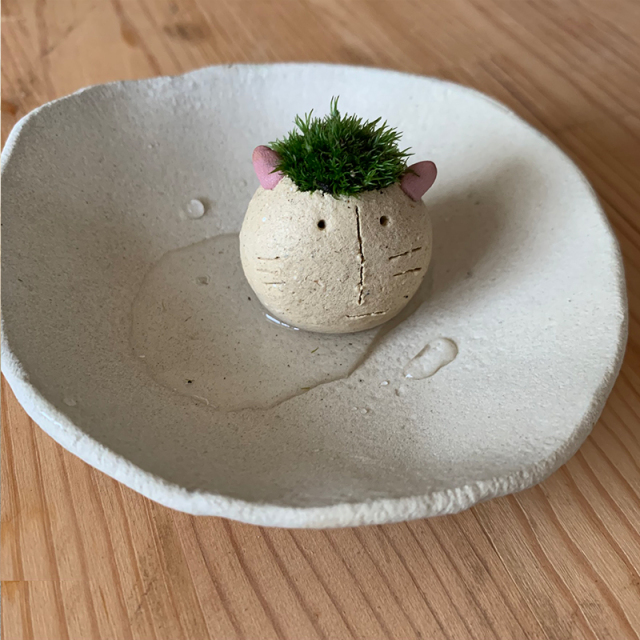 mossmoss コネコ