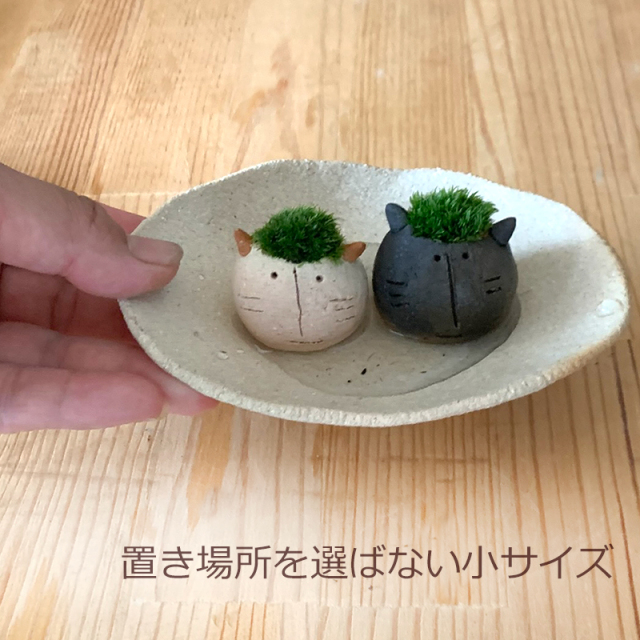 mossmoss コネコ