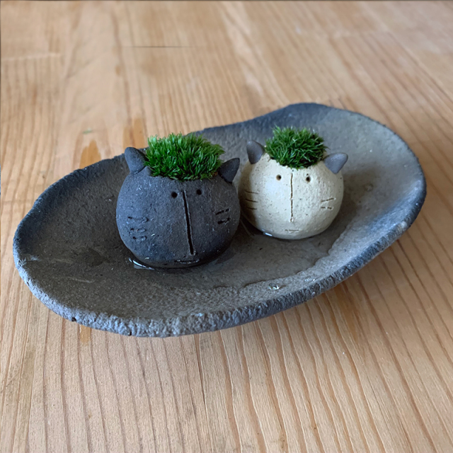 mossmoss コネコ