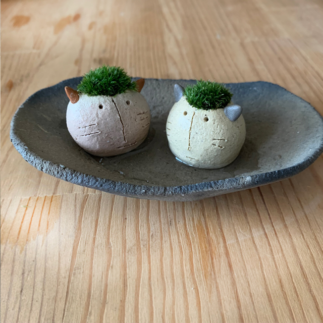 mossmoss コネコ
