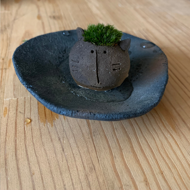 mossmoss コネコ
