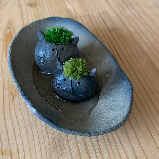 mossmoss コネコ