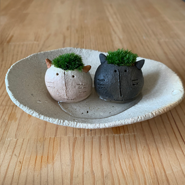 mossmoss コネコ