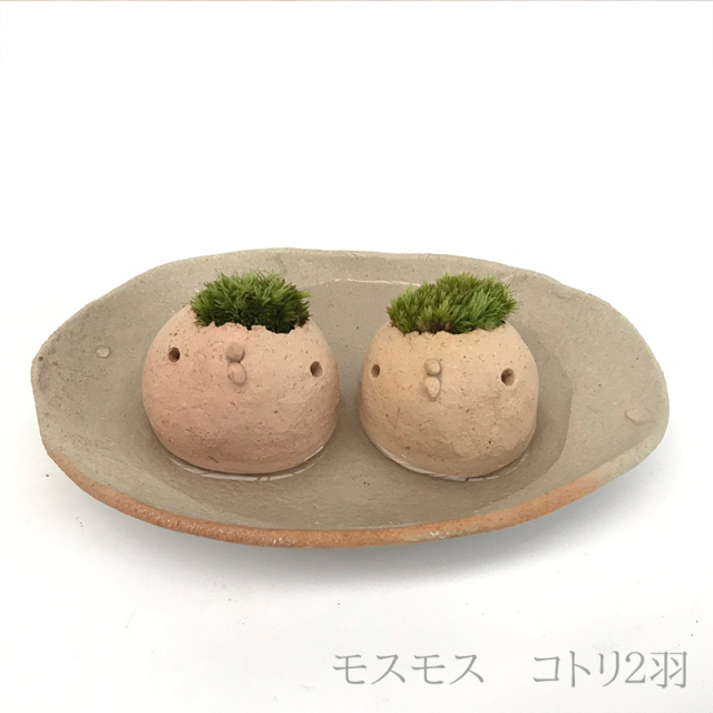 モスコトリ