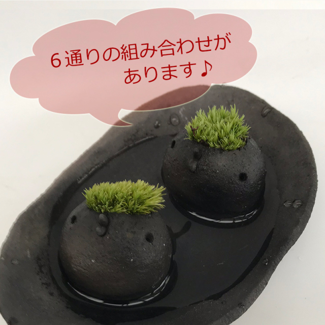 モスコトリ
