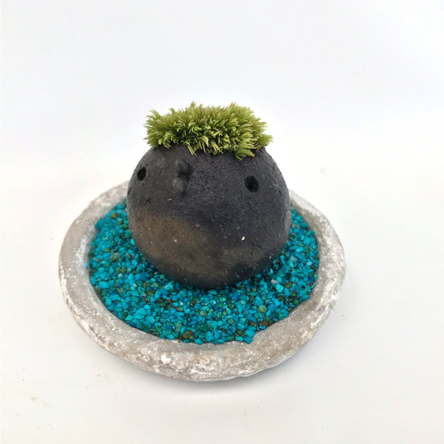 苔盆栽