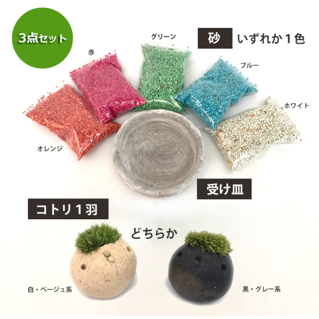 苔盆栽