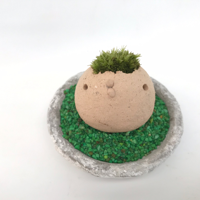 苔盆栽