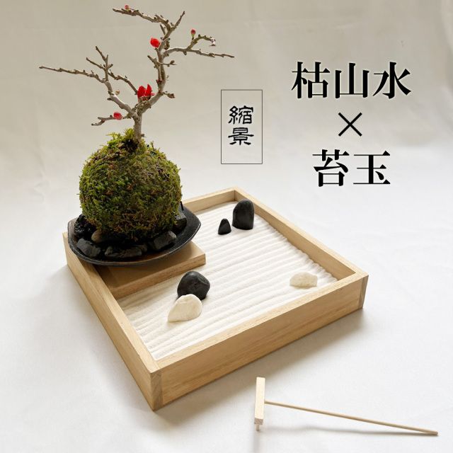 苔玉皿 日本庭園 アンティーク 石造り 猫足 骨董品 盆栽 【公式通販】