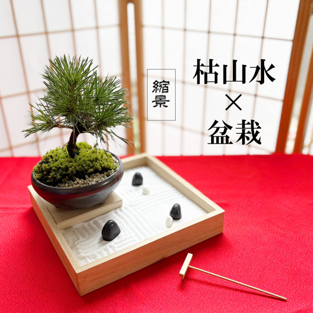 枯山水玉砂利黒松