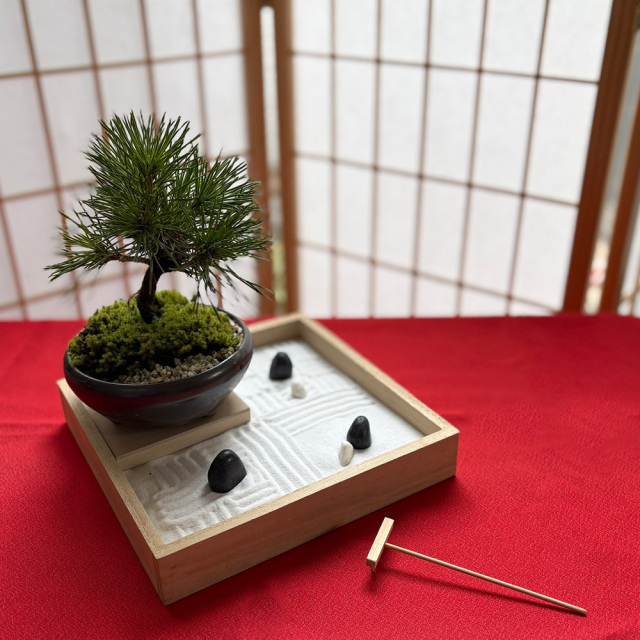 枯山水玉砂利黒松