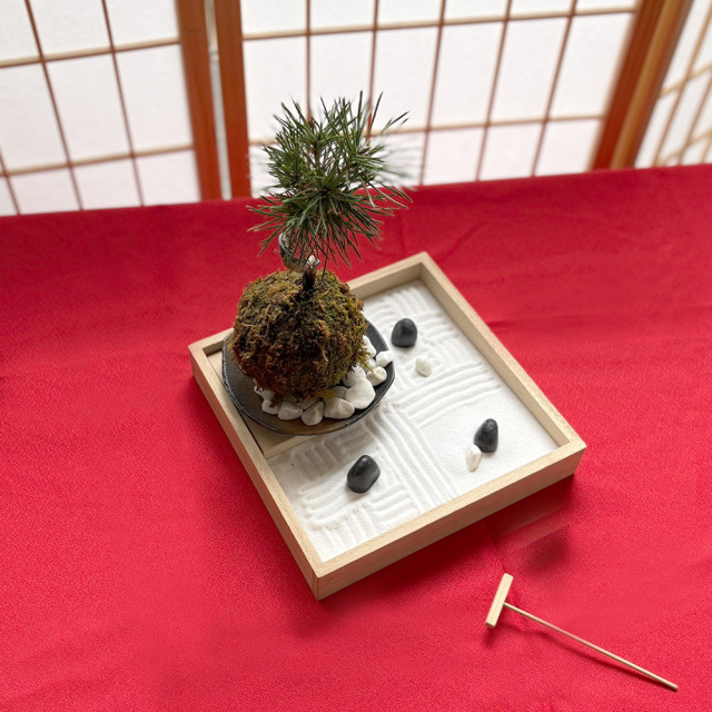 枯山水玉砂利黒松