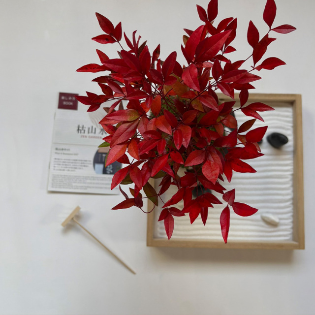 枯山水玉砂利南天