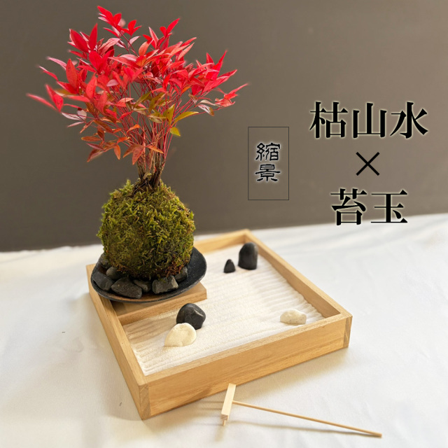 枯山水玉砂利南天