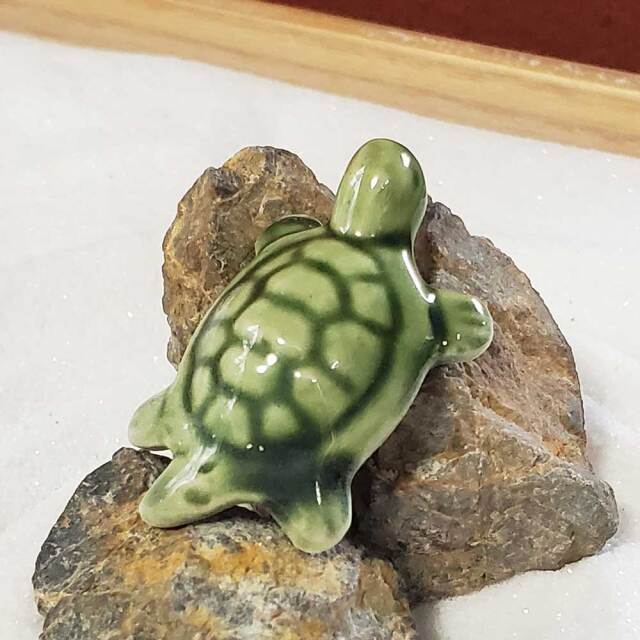 緑亀