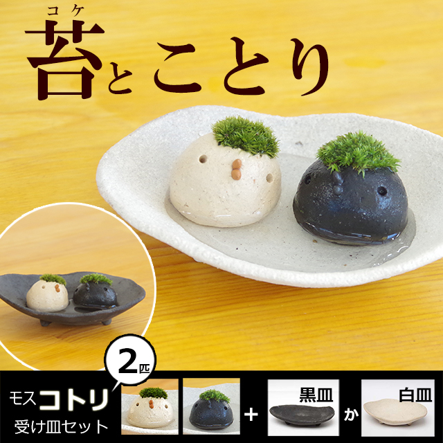 モスモスシリーズ 作家 真山茜氏【モスコトリ2匹・受け皿セット】