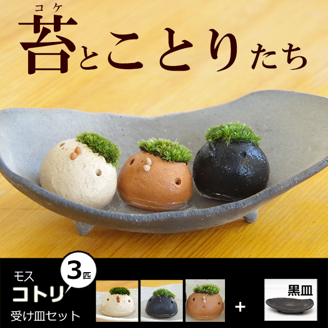 モスモスシリーズ 作家 真山茜 モスコトリ ３羽 受け皿 (黒・グレー系)セット モスモス 小鳥 ことり