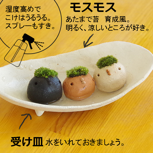 モスコトリ