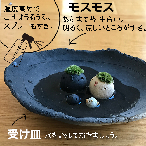 モスモス