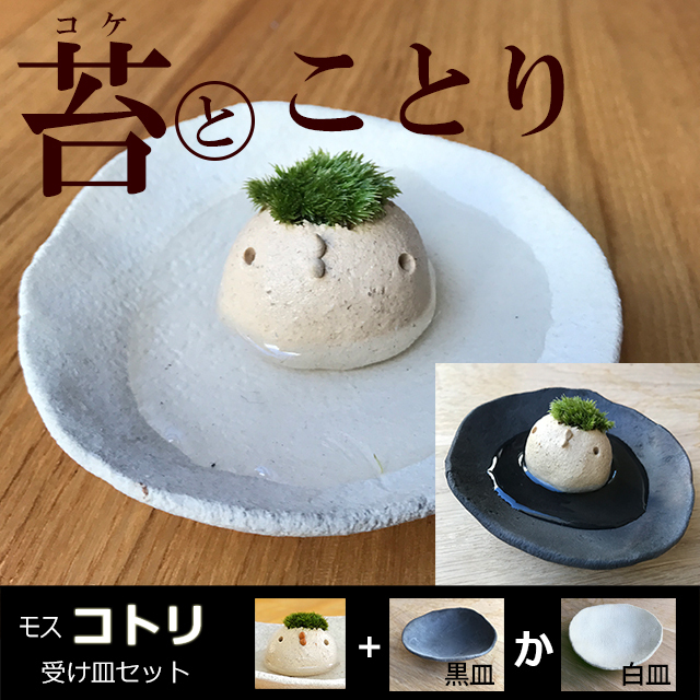 モスモスシリーズ 作家 真山茜 モスコトリ ( 白 ベージュ系 ) 受け皿セット モスモス 苔 小鳥 ことり