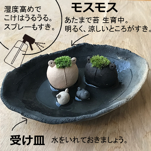 モスモス