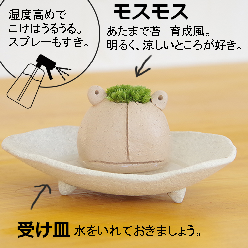 モスカエル