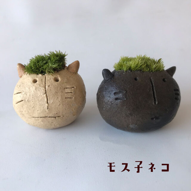 ネコ