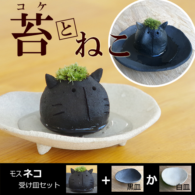 モスモスシリーズ 作家 真山茜 モスネコ (黒 グレー系 ) 受け皿セット モスモス 苔 猫 ねこ